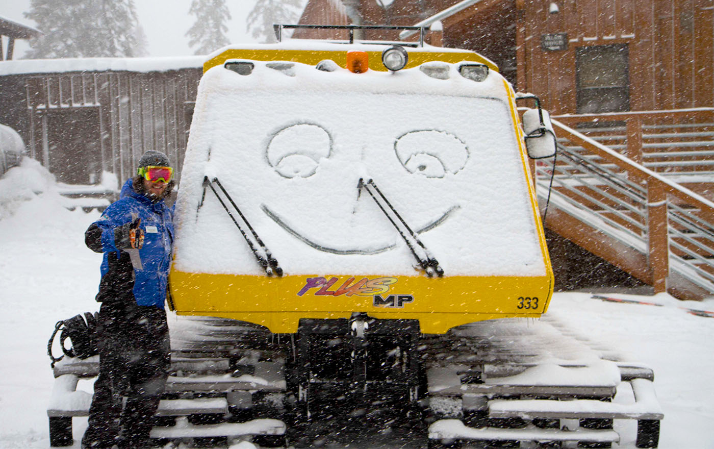 Employee having fun with cat and snow