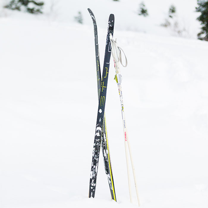 Royal Gorge Cross Country skis and skate skis in the snow.