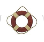 Pool Throw Ring Icon