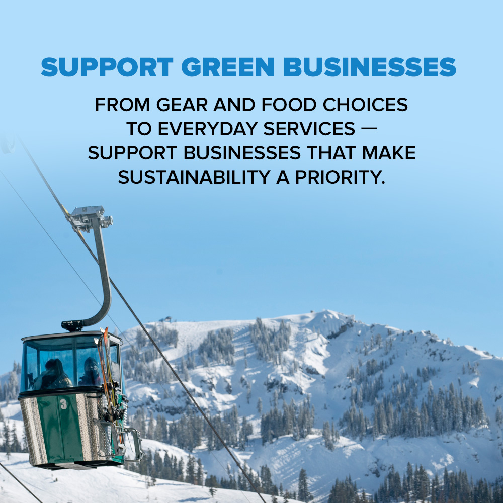 support green businesses